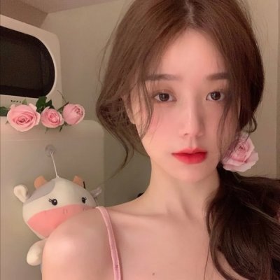 长袜子皮皮的新历险